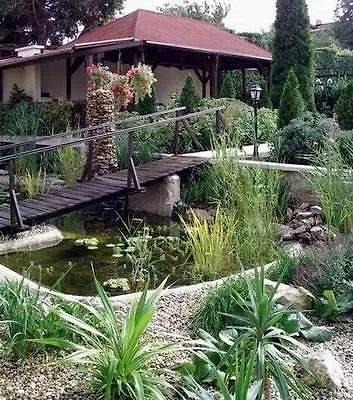 Agi Panzio Obuda Bed & Breakfast Budapešť